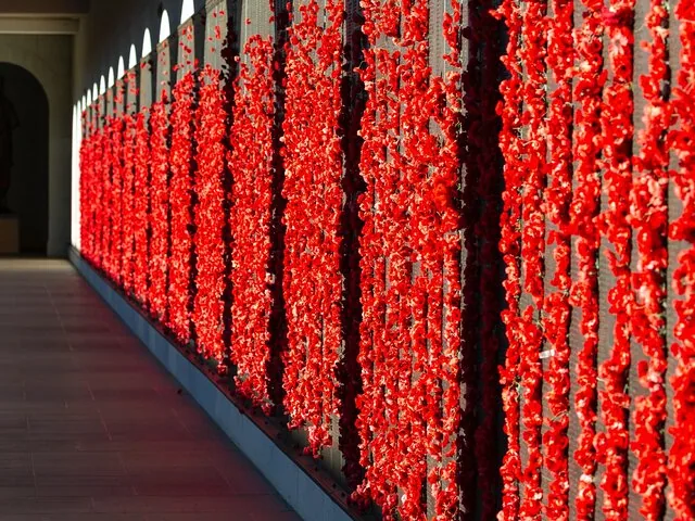 Eine Wand, die komplett mit roten künstlichen Mohnblumen bedeckt ist.